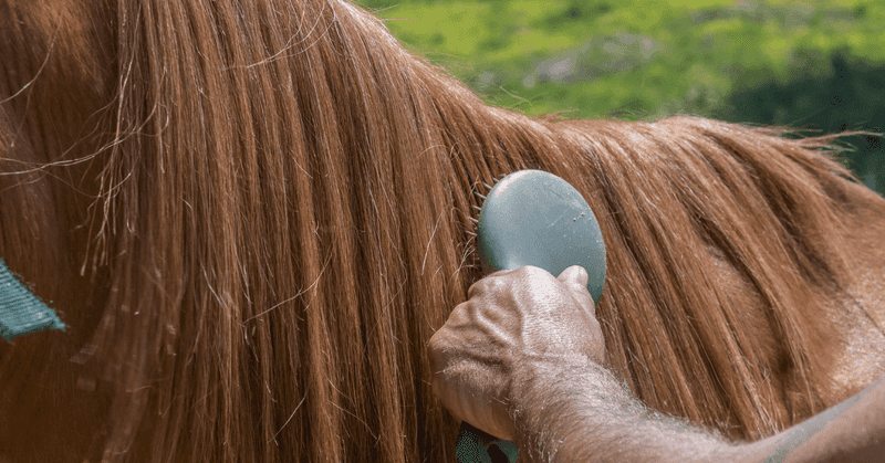 Hair, Hair Everywhere