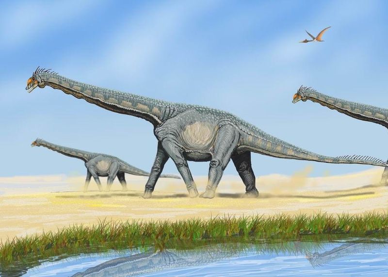 Why Alamosaurus Was So Big And How It Survived