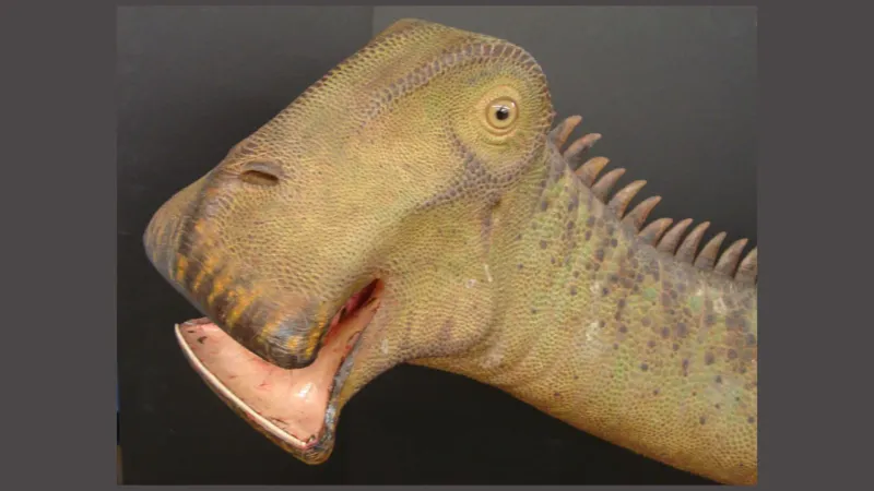 Nigersaurus: A Dinosaur With A Unique Feeding Strategy
