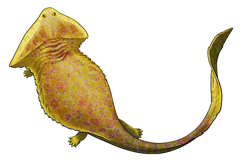 The Bullet-Proof Amphibian
