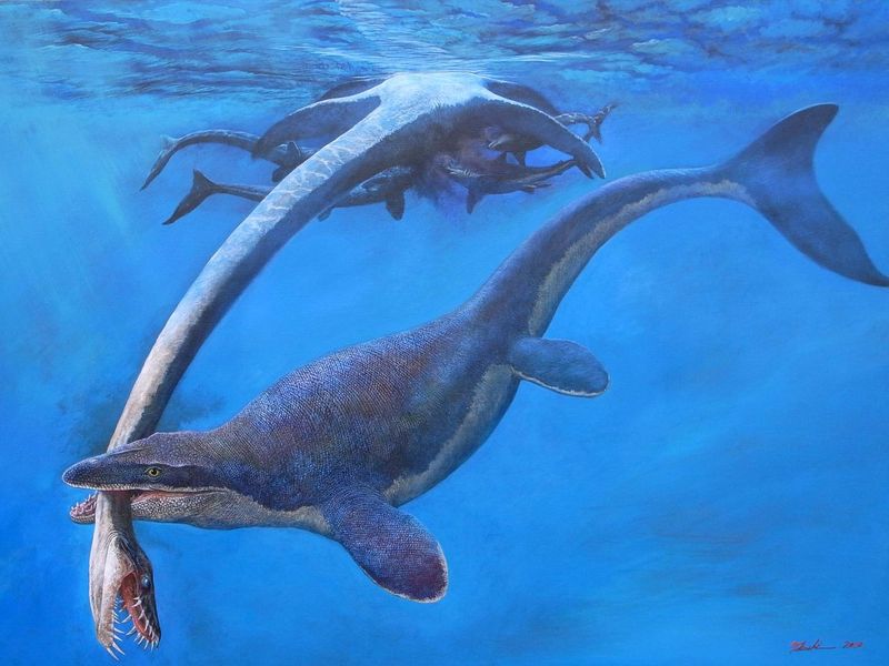 Kansas Sea Monsters And Their Prey