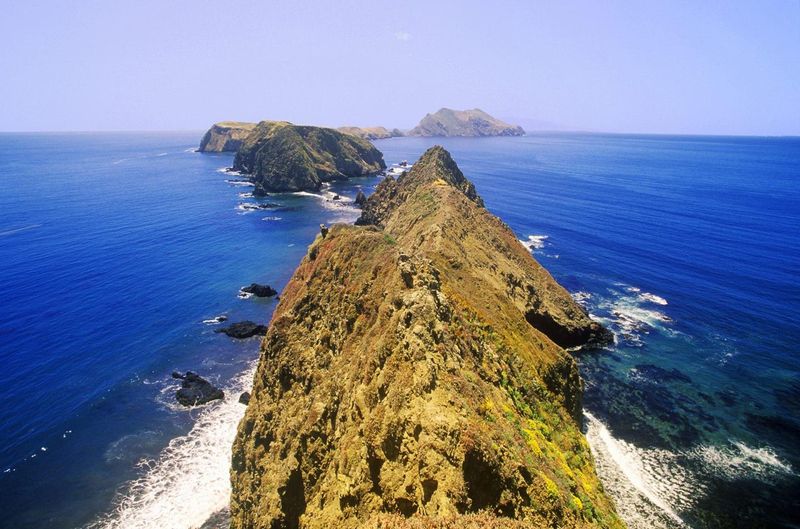 America's Galapagos In Peril