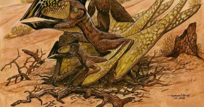The Helicopter-Headed Reptile