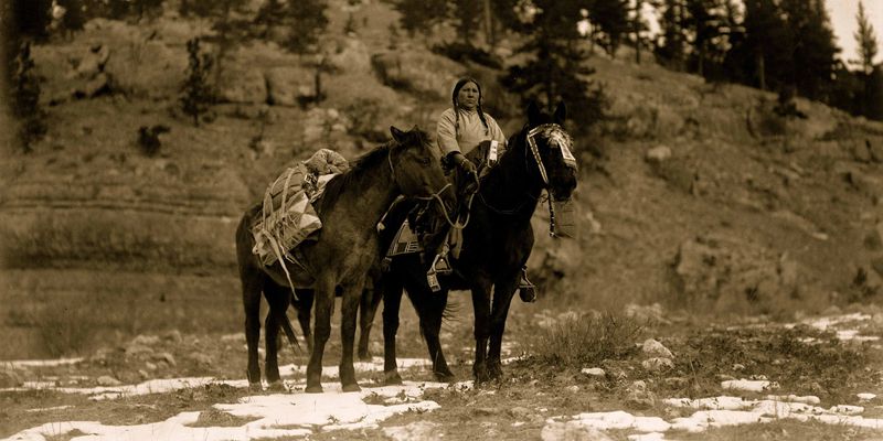 The Connection Between Native American Culture And Wild Horses