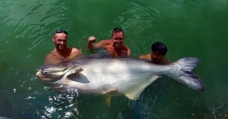Record-Breaking Freshwater Fish