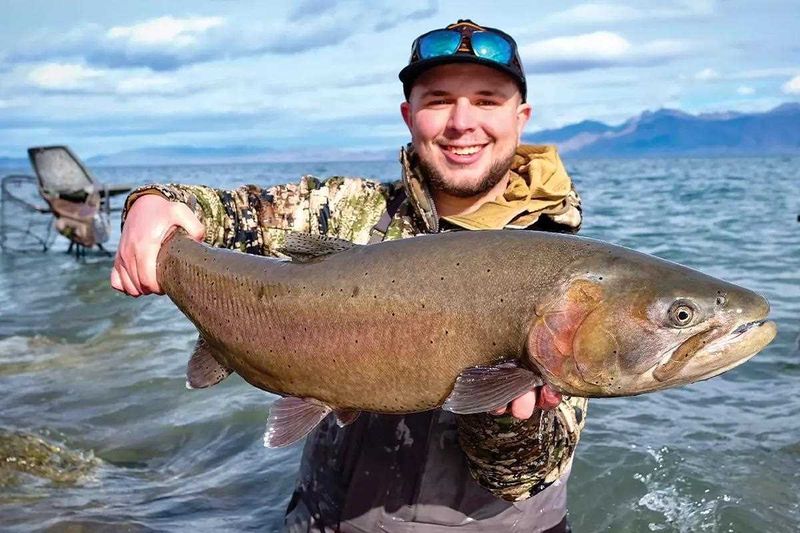 California's Pyramid Lake Behemoth: The 41-Pound Cutthroat