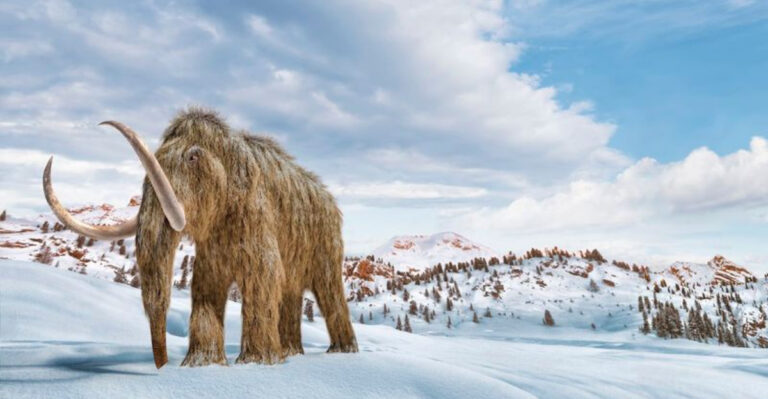 The Mammoths Of Mexico How Ancient Elephants Were Trapped And Preserved In Ice Age Pits