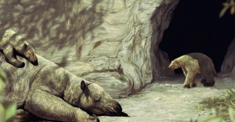 The Megafauna That Once Walked Florida's Swamps