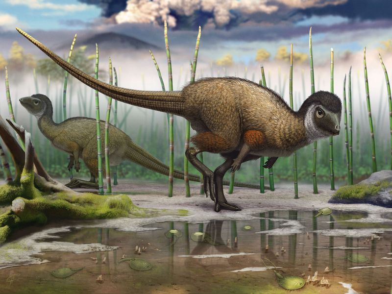 Feathers In Dinosaurs: A Brief Overview