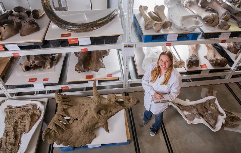 The Importance Of Re-Examining Old Fossil Collections