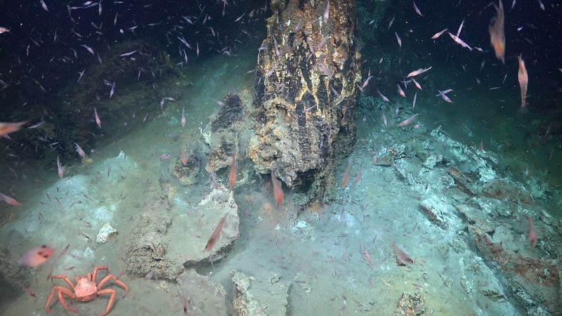 Surviving Extreme Ocean Conditions
