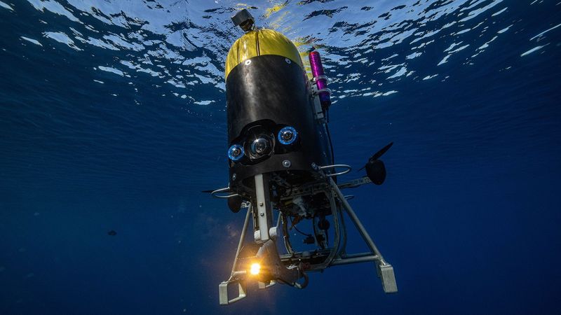 New Technologies Driving Marine Discoveries