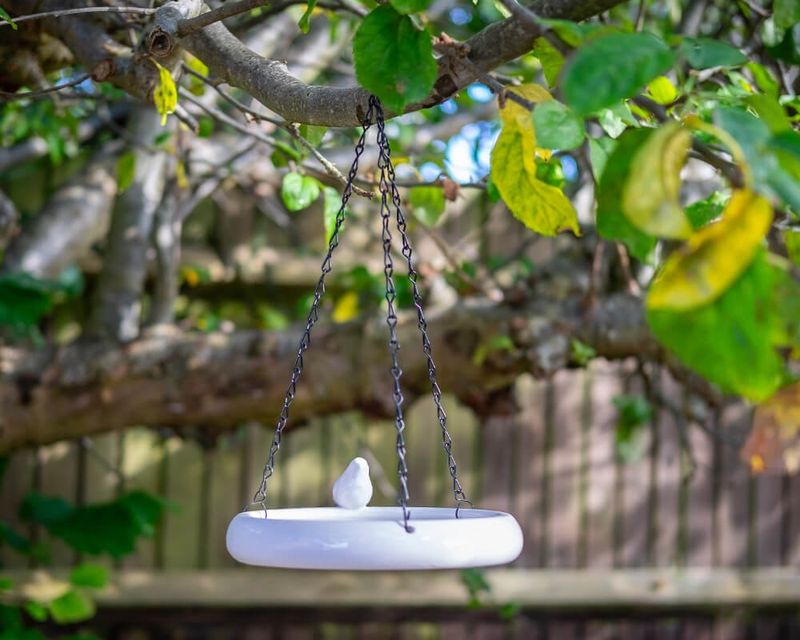 Shallow Dish Hanging Birdbath