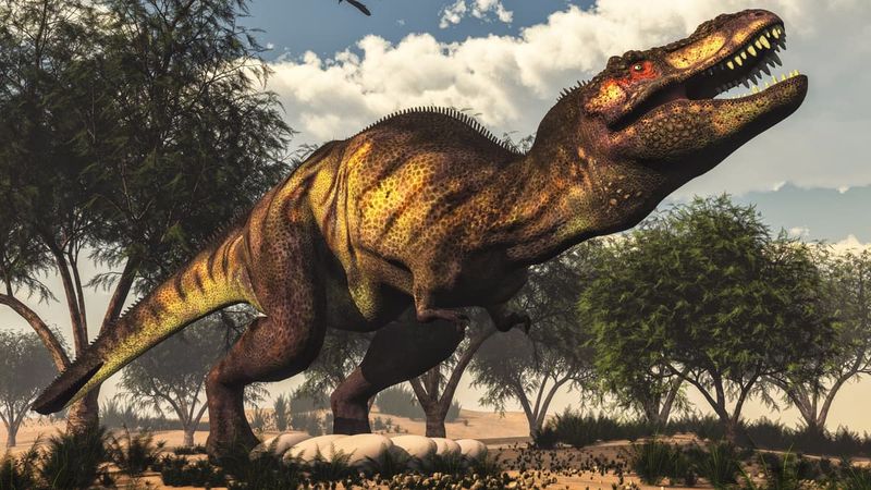 Why T. Rex Wasn't A Speed Demon