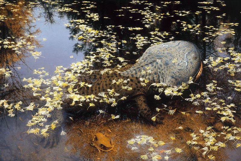 The Whale-Sized Salamander