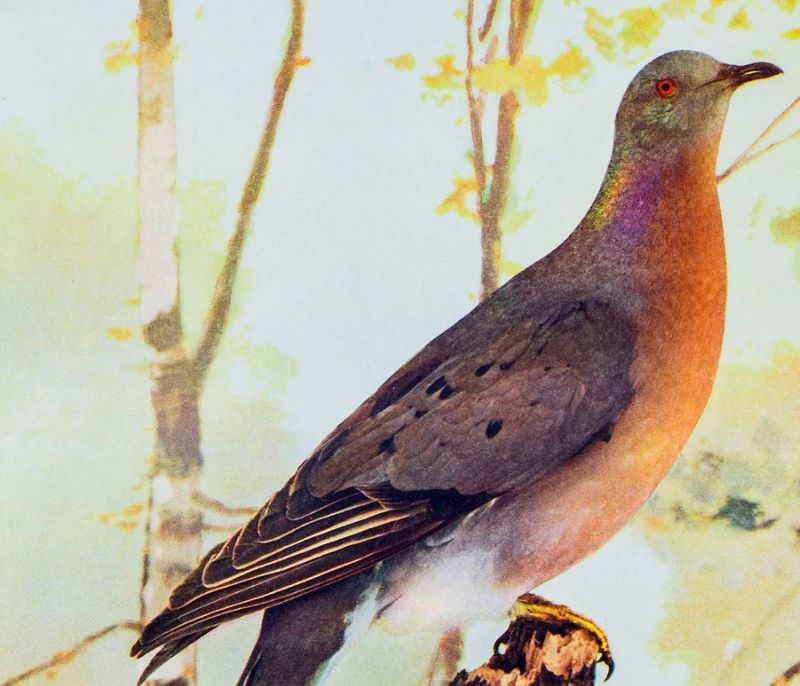 Restoring Lost Biodiversity