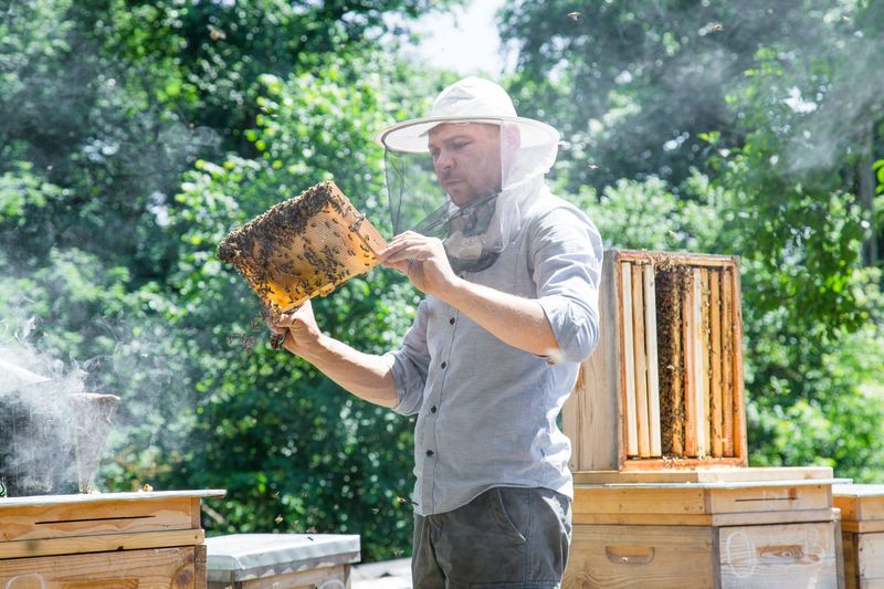 Starter Hive Kits Simplify The Learning Curve