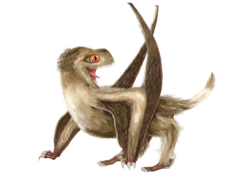 Did Feathers Evolve Before Or After The Dinosaurs?