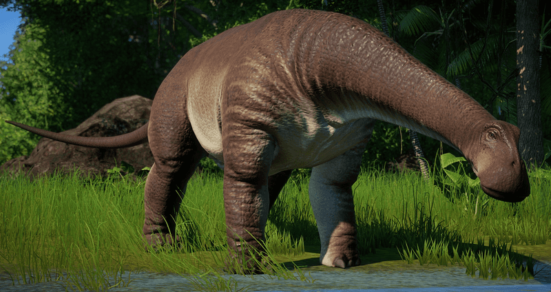 Nigersaurus: A Dinosaur Built For Plant Eating