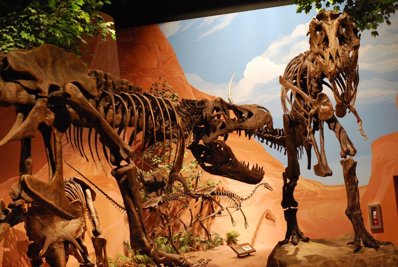 How T. Rex's Speed Impacted Its Predatory Behavior