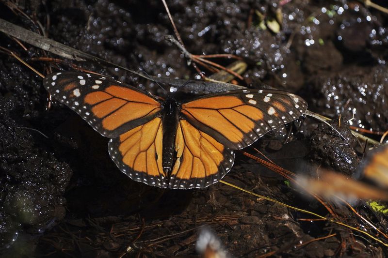 Environmental Challenges: Battling The Elements