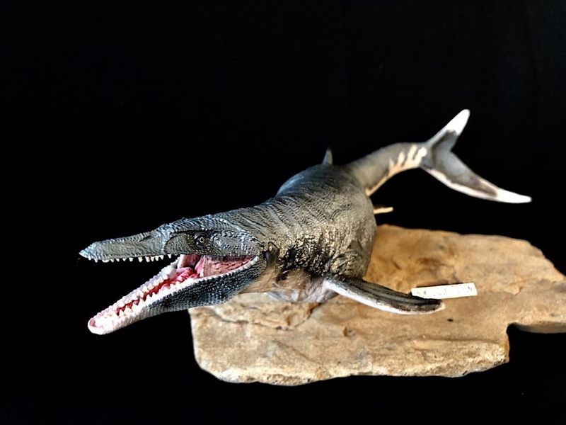 Size And Habitat: Where This Giant Mosasaur Lived And Roamed