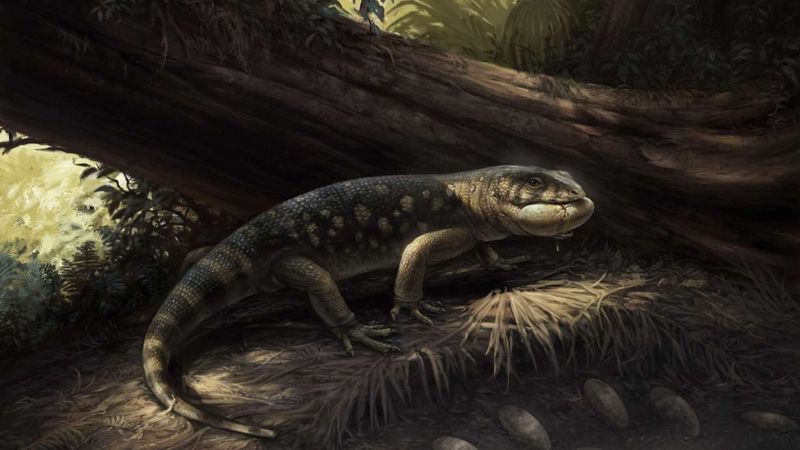 The Naming Of Bolg Amondol And Its Connection To Tolkien's Fantasy World