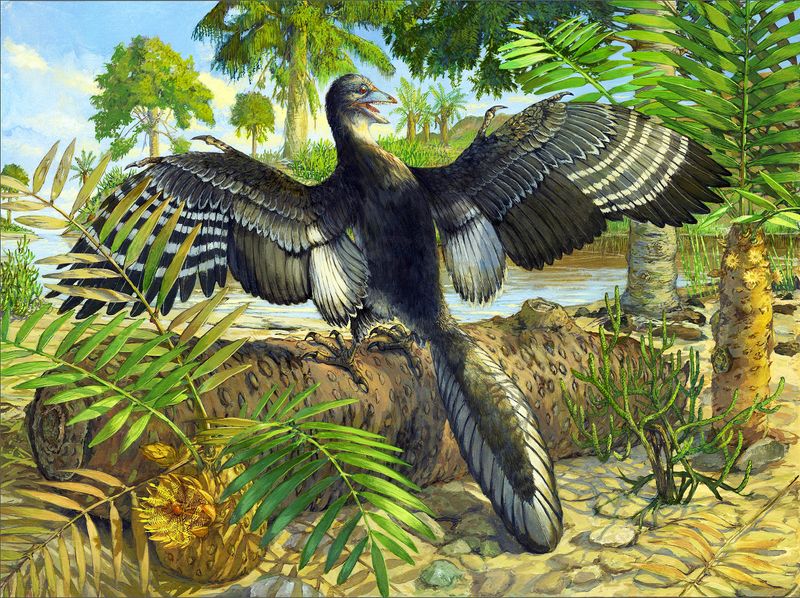 A Tiny Dino With Surprising Feathers