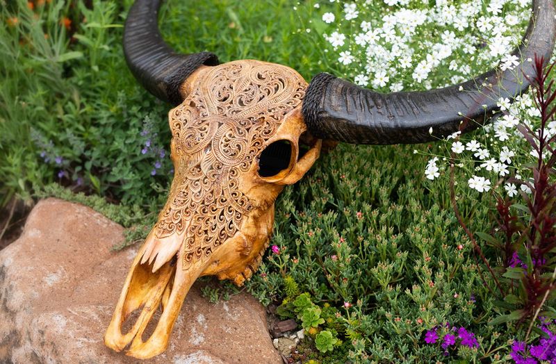 How The Buffalo Was Revered As A Sacred Animal