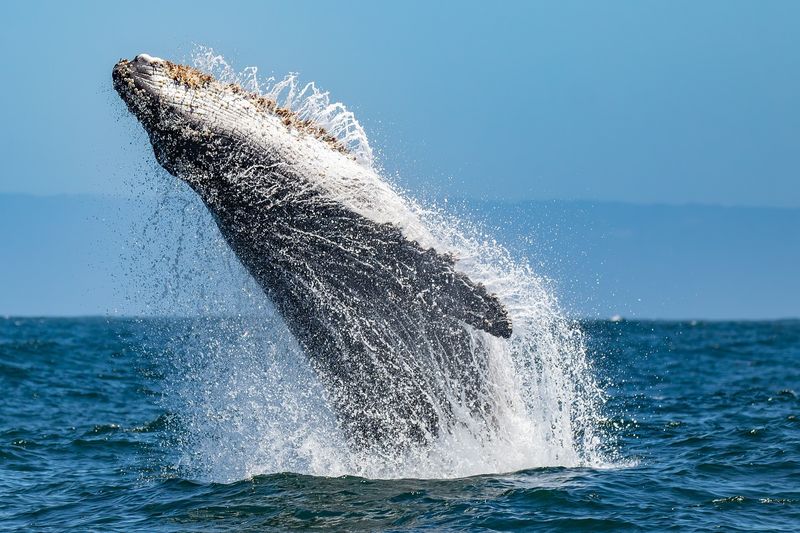 Dress Code For Ocean Adventures