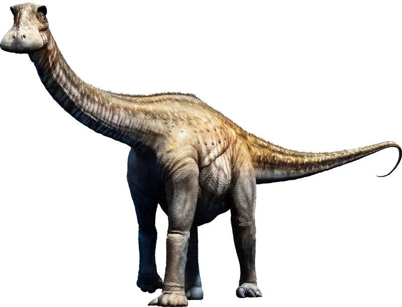 What Made Nigersaurus' Teeth So Special?