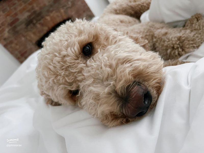 Your Morning Greeting Ritual