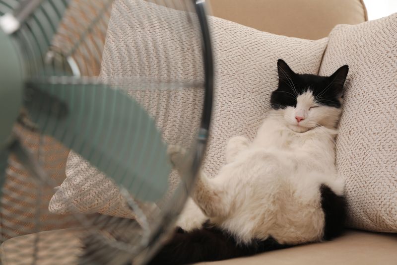 Humidity Levels Exceed 50%