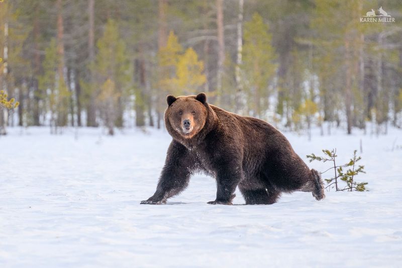 Untouched Wilderness Stretches For Miles