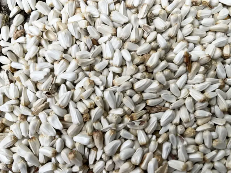 Safflower Seeds: Natural Squirrel Deterrent