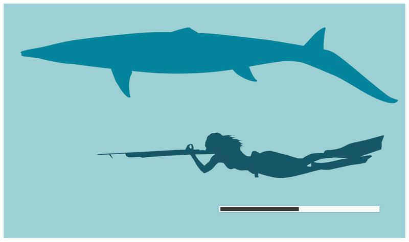 How Stelladens Mysteriosus Stands Apart From Other Mosasaurs