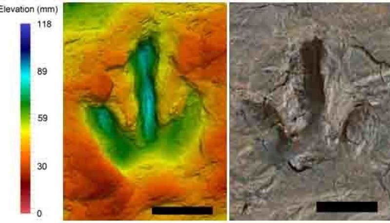 This Discovery Solves An 88-Year Mystery