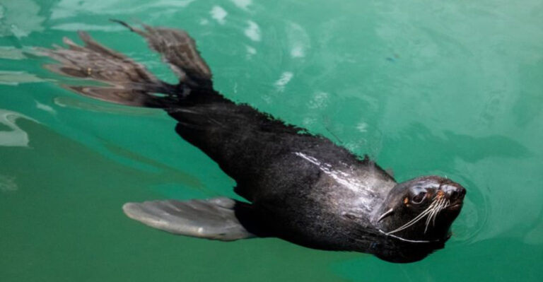 These 15 Oldest Mammals Are Still Alive Today