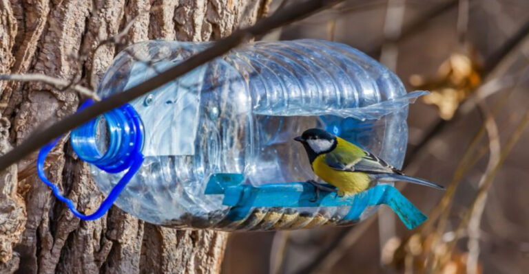 These DIY Bird Feeders Will Fill Your Garden With Birdsong