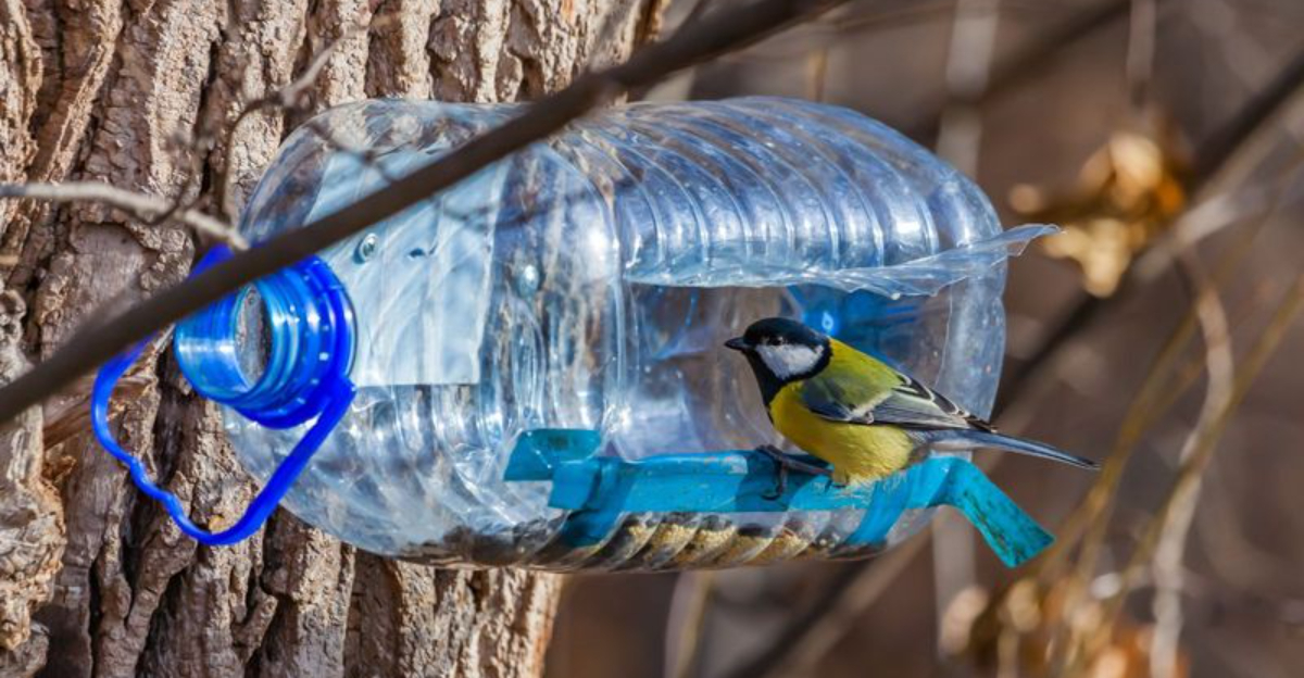 These DIY Bird Feeders Will Fill Your Garden With Birdsong