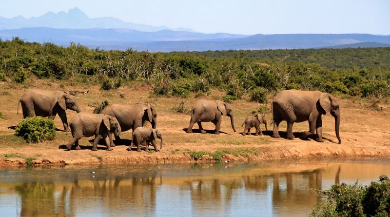 Each One Plays A Role In The Ecosystem