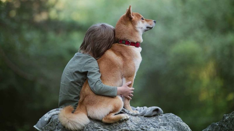 They Comfort Other Animals In Distress
