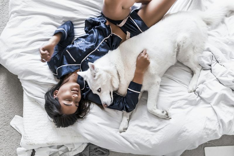 They Cuddle With You After Eating