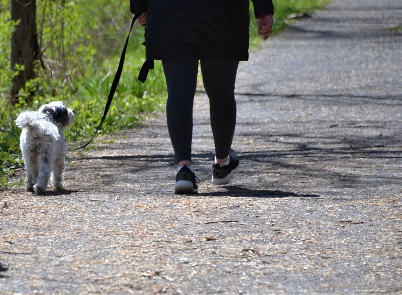 They Check In During Walks