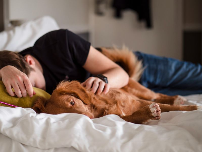 They Sleep With Their Back To You