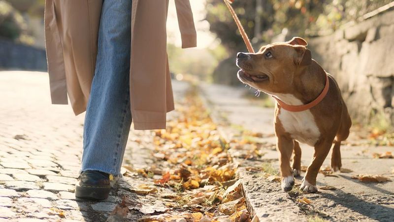 They Check In During Walks