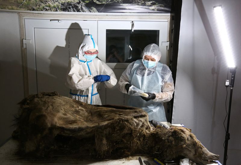 The Remarkable Discovery Of The 3,500-Year-Old Frozen Bear