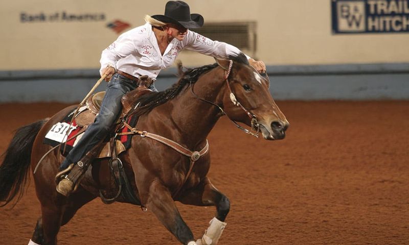 Quarter Horse: Explosive Sprinter