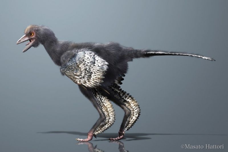 Bird-Like Posture When Standing