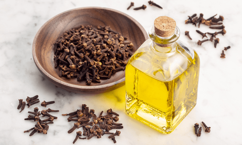 Clove's Hidden Strength
